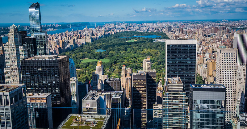 New Norm in Sports ④ |&nbsp;開疎化する社会とスポーツの未来